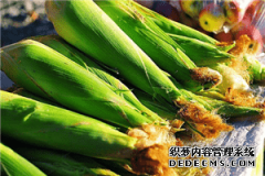 中国已经订购了1000多万吨美国玉米